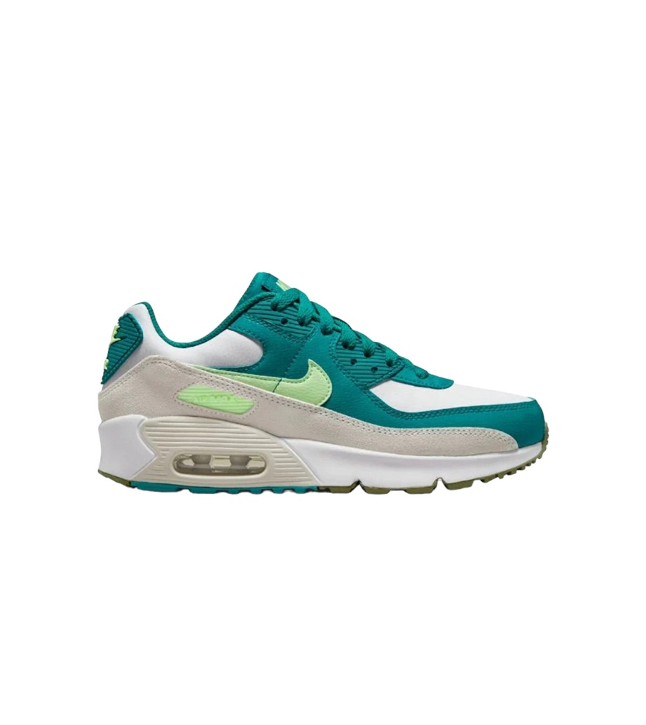 Nike Air Max 90 LTR