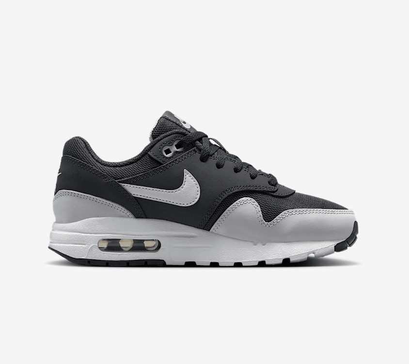 Nike Air Max 1 - DZ3307 008