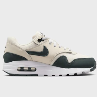 Nike Air Max 1 - DZ3307 113