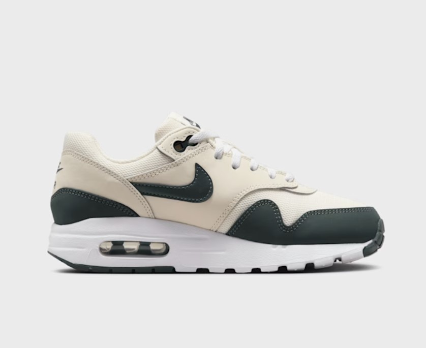 Nike Air Max 1 - DZ3307 113