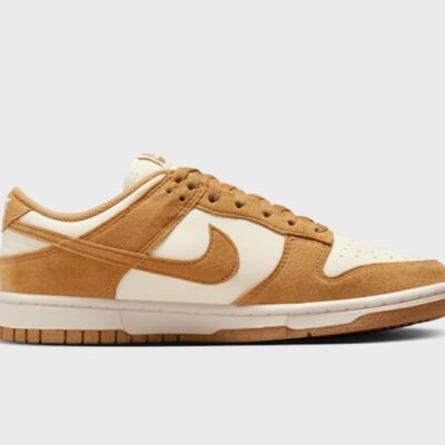 Nike Dunk Low - HJ7673 100
